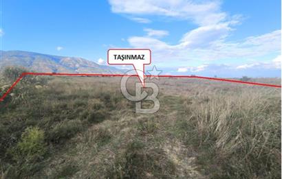 Aydın Söke Güllübahçe'de 17.893 M² Sulu Tarım Arazisi