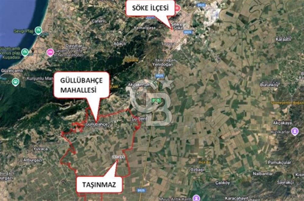 Aydın Söke Güllübahçe'de 17.893 M² Sulu Tarım Arazisi