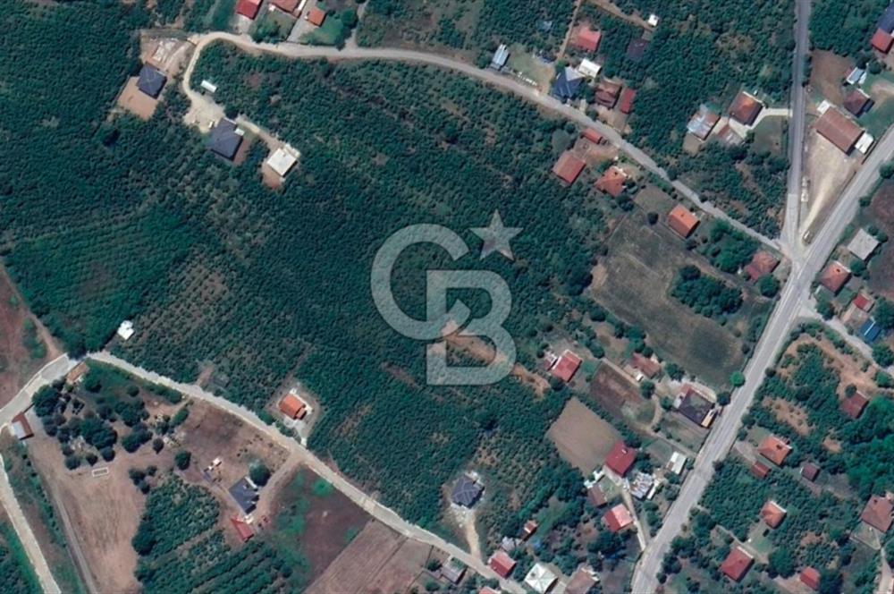 HENDEK CAMİLİ'DE PLANLI GELİŞİM BÖLGESİNDE 4213 M2 ARAZİ