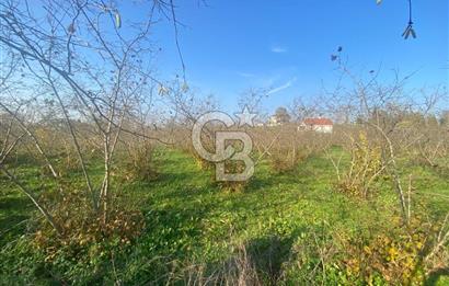 HENDEK CAMİLİ'DE PLANLI GELİŞİM BÖLGESİNDE 4213 M2 ARAZİ