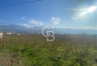 HENDEK CAMİLİ'DE PLANLI GELİŞİM BÖLGESİNDE 4213 M2 ARAZİ - 1 - 331009