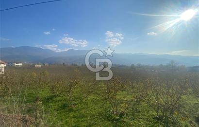 HENDEK CAMİLİ'DE PLANLI GELİŞİM BÖLGESİNDE 4213 M2 ARAZİ