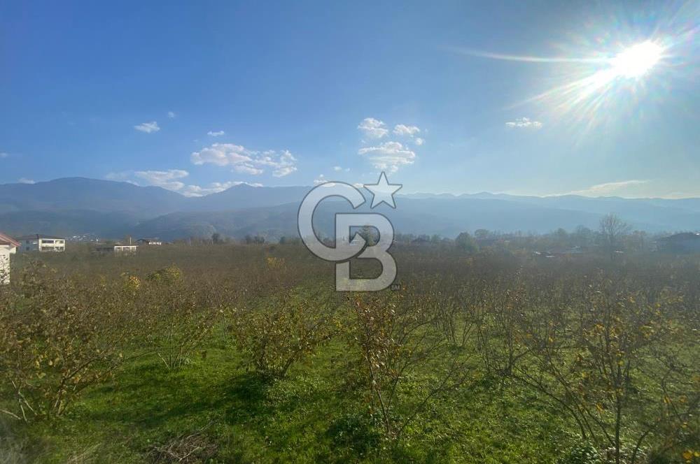 HENDEK CAMİLİ'DE PLANLI GELİŞİM BÖLGESİNDE 4213 M2 ARAZİ