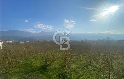 HENDEK CAMİLİ'DE PLANLI GELİŞİM BÖLGESİNDE 4213 M2 ARAZİ