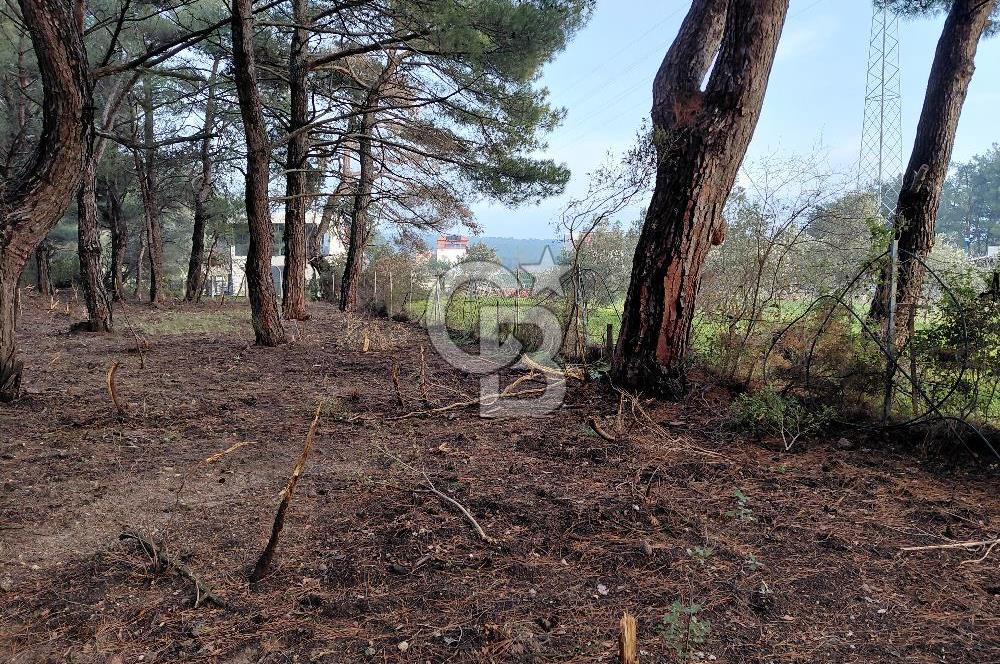 Bornova Çiçekliköy Satılık Tek Tapu Arazi | Ormana Komşu, Yolu Mevcut