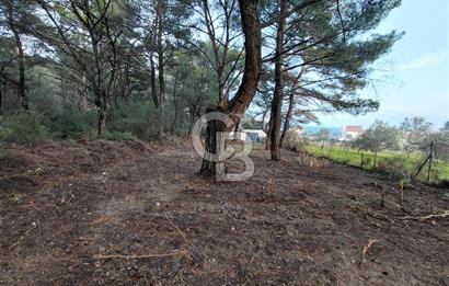 Bornova Çiçekliköy Satılık Tek Tapu Arazi | Ormana Komşu, Yolu Mevcut