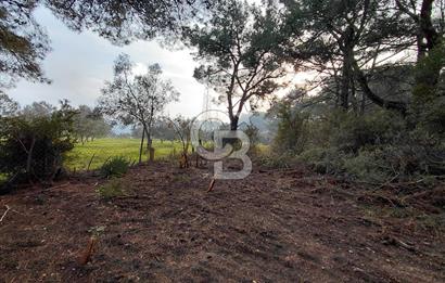 Bornova Çiçekliköy Satılık Tek Tapu Arazi | Ormana Komşu, Yolu Mevcut