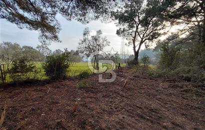 Bornova Çiçekliköy Satılık Tek Tapu Arazi | Ormana Komşu, Yolu Mevcut