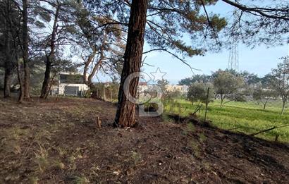 Bornova Çiçekliköy Satılık Tek Tapu Arazi | Ormana Komşu, Yolu Mevcut