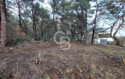 Bornova Çiçekliköy Satılık Tek Tapu Arazi | Ormana Komşu, Yolu Mevcut