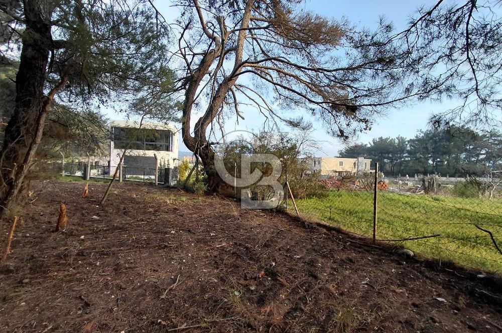 Bornova Çiçekliköy Satılık Tek Tapu Arazi | Ormana Komşu, Yolu Mevcut