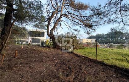 Bornova Çiçekliköy Satılık Tek Tapu Arazi | Ormana Komşu, Yolu Mevcut
