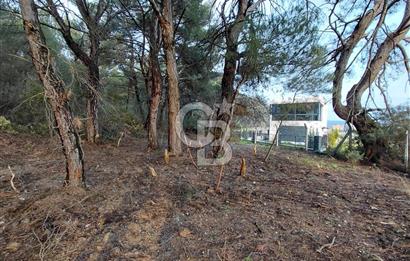 Bornova Çiçekliköy Satılık Tek Tapu Arazi | Ormana Komşu, Yolu Mevcut