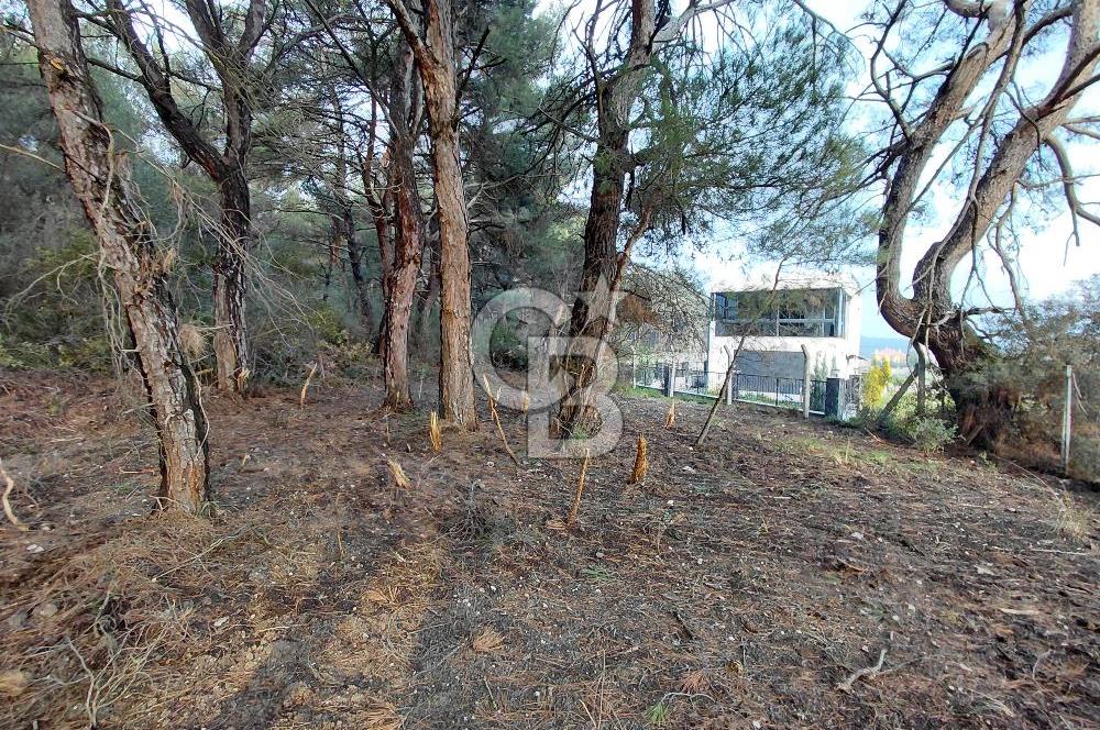 Bornova Çiçekliköy Satılık Tek Tapu Arazi | Ormana Komşu, Yolu Mevcut