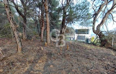 Bornova Çiçekliköy Satılık Tek Tapu Arazi | Ormana Komşu, Yolu Mevcut