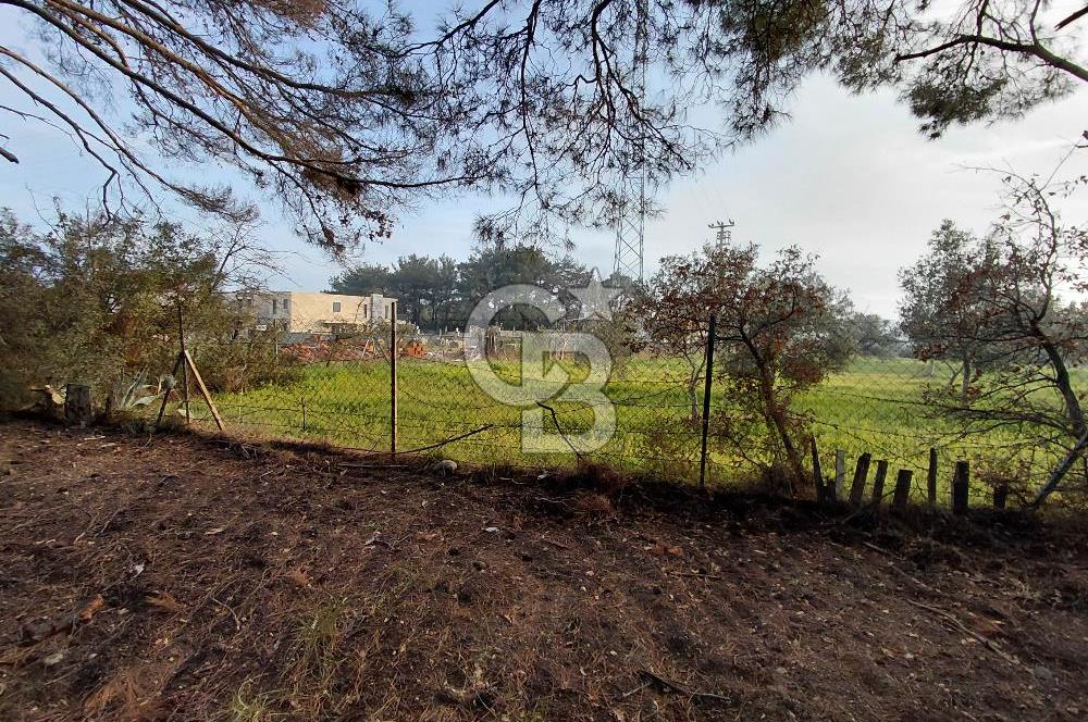 Bornova Çiçekliköy Satılık Tek Tapu Arazi | Ormana Komşu, Yolu Mevcut