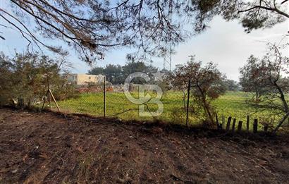 Bornova Çiçekliköy Satılık Tek Tapu Arazi | Ormana Komşu, Yolu Mevcut