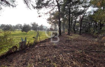 Bornova Çiçekliköy Satılık Tek Tapu Arazi | Ormana Komşu, Yolu Mevcut