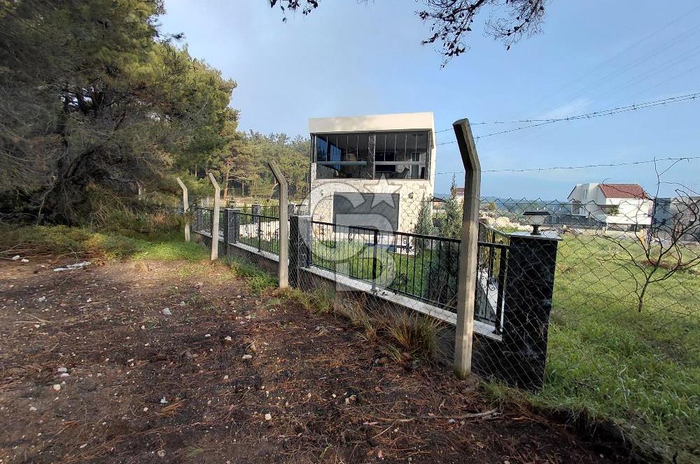 Bornova Çiçekliköy Satılık Tek Tapu Arazi | Ormana Komşu, Yolu Mevcut