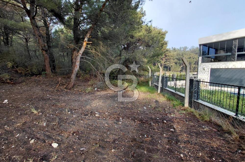 Bornova Çiçekliköy Satılık Tek Tapu Arazi | Ormana Komşu, Yolu Mevcut