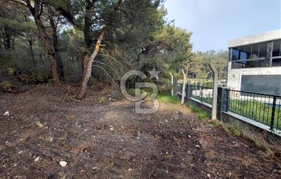 Bornova Çiçekliköy Satılık Tek Tapu Arazi | Ormana Komşu, Yolu Mevcut