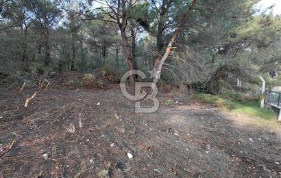 Bornova Çiçekliköy Satılık Tek Tapu Arazi | Ormana Komşu, Yolu Mevcut
