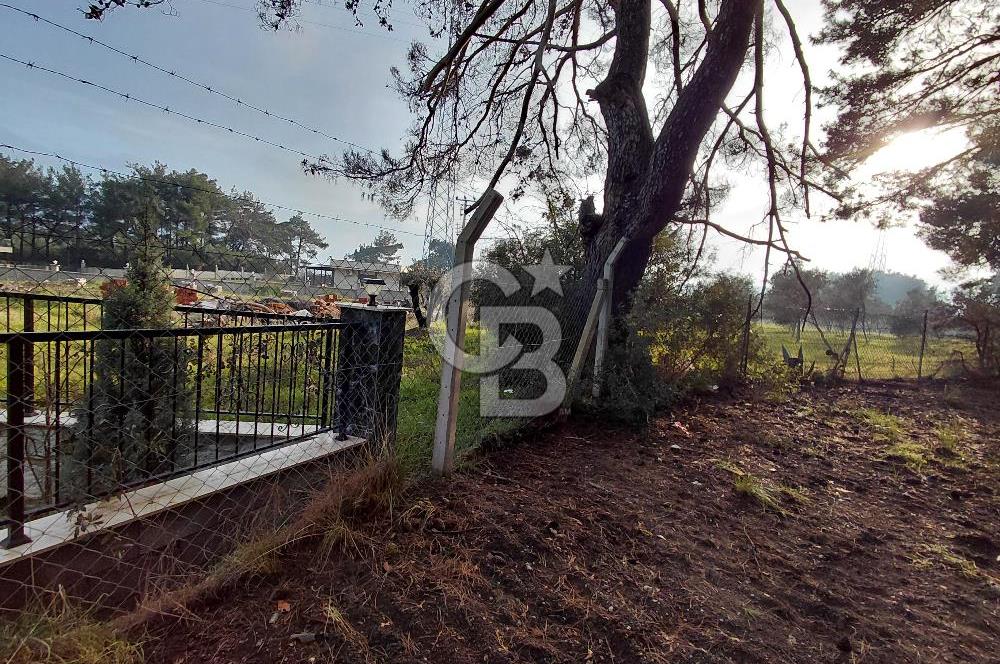 Bornova Çiçekliköy Satılık Tek Tapu Arazi | Ormana Komşu, Yolu Mevcut