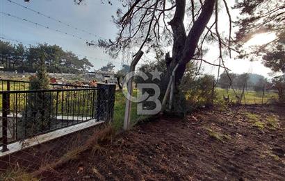 Bornova Çiçekliköy Satılık Tek Tapu Arazi | Ormana Komşu, Yolu Mevcut