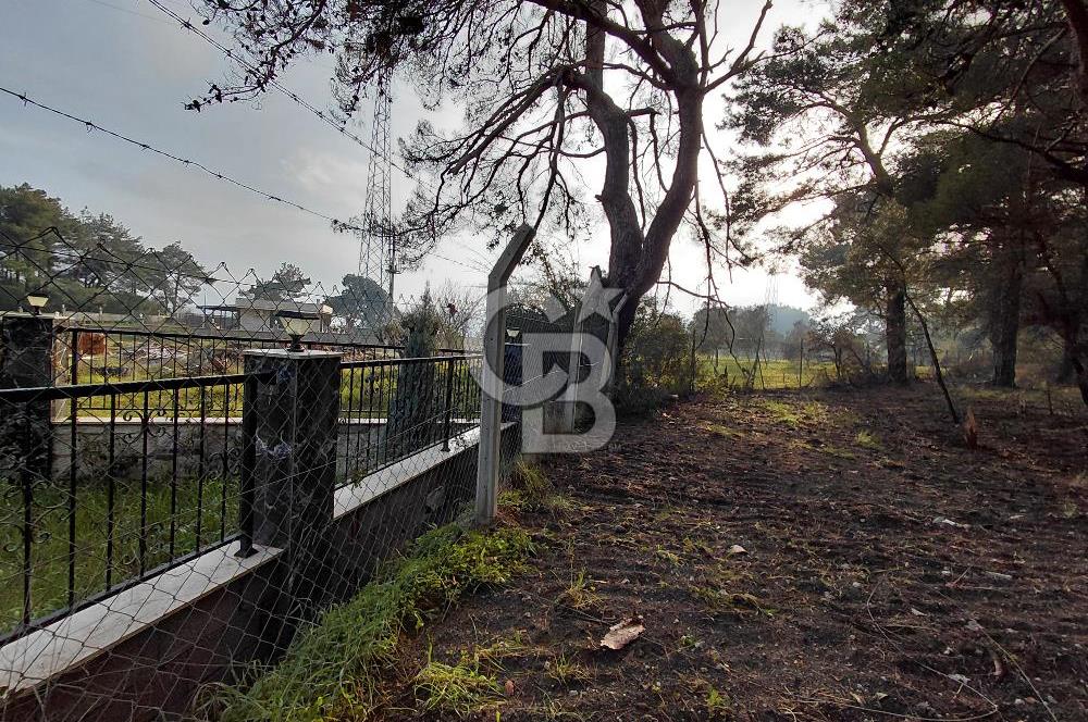 Bornova Çiçekliköy Satılık Tek Tapu Arazi | Ormana Komşu, Yolu Mevcut