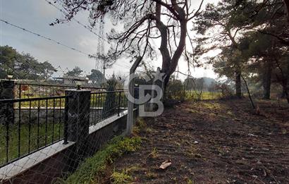 Bornova Çiçekliköy Satılık Tek Tapu Arazi | Ormana Komşu, Yolu Mevcut