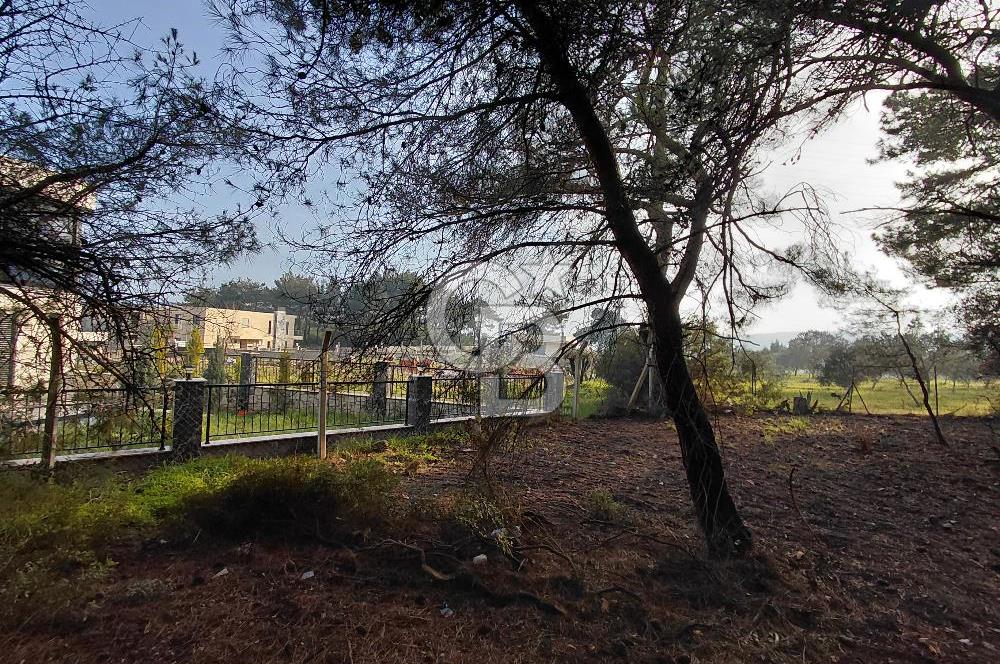 Bornova Çiçekliköy Satılık Tek Tapu Arazi | Ormana Komşu, Yolu Mevcut