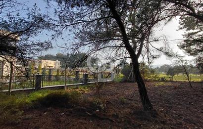 Bornova Çiçekliköy Satılık Tek Tapu Arazi | Ormana Komşu, Yolu Mevcut