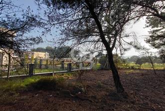 Bornova Çiçekliköy Satılık Tek Tapu Arazi | Ormana Komşu, Yolu Mevcut - 1 - 331089