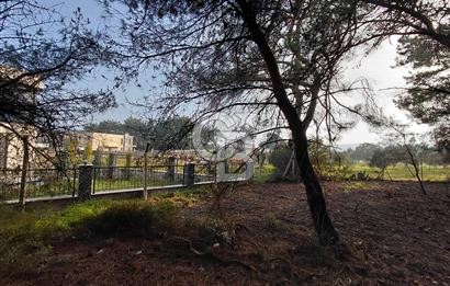 Bornova Çiçekliköy Satılık Tek Tapu Arazi | Ormana Komşu, Yolu Mevcut