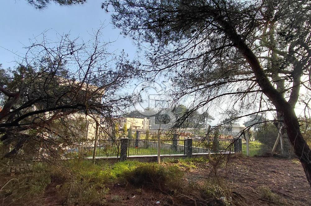 Bornova Çiçekliköy Satılık Tek Tapu Arazi | Ormana Komşu, Yolu Mevcut