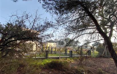 Bornova Çiçekliköy Satılık Tek Tapu Arazi | Ormana Komşu, Yolu Mevcut