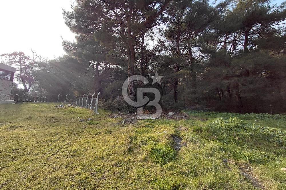 Bornova Çiçekliköy Satılık Tek Tapu Arazi | Ormana Komşu, Yolu Mevcut