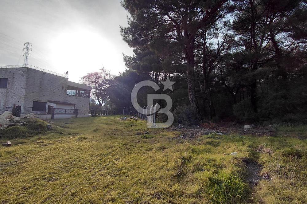 Bornova Çiçekliköy Satılık Tek Tapu Arazi | Ormana Komşu, Yolu Mevcut