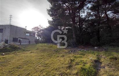 Bornova Çiçekliköy Satılık Tek Tapu Arazi | Ormana Komşu, Yolu Mevcut