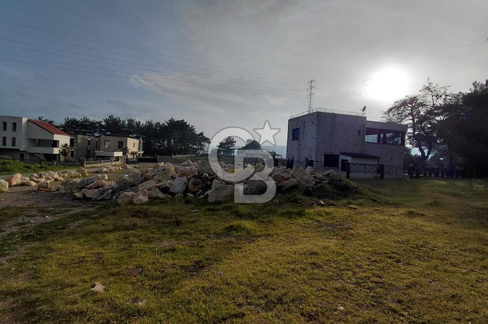 Bornova Çiçekliköy Satılık Tek Tapu Arazi | Ormana Komşu, Yolu Mevcut