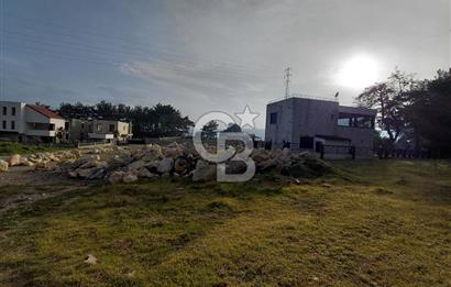 Bornova Çiçekliköy Satılık Tek Tapu Arazi | Ormana Komşu, Yolu Mevcut