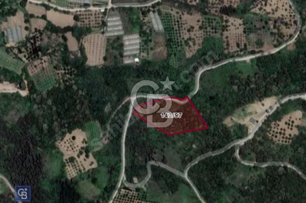 KOCAELİ KARAMÜRSELDE YOLA CEPHELİ DENİZ MANZARALI SATILIK ARAZİ