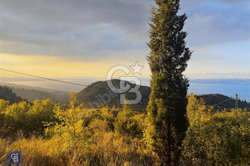 KOCAELİ KARAMÜRSELDE YOLA CEPHELİ DENİZ MANZARALI SATILIK ARAZİ