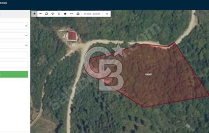 KOCAELİ KARAMÜRSELDE YOLA CEPHELİ DENİZ MANZARALI SATILIK ARAZİ