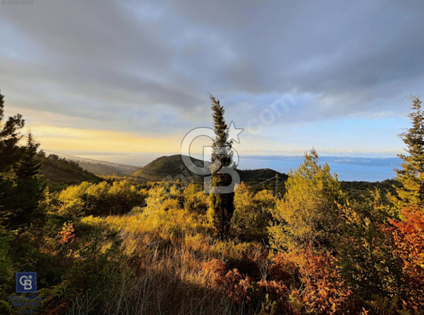 KOCAELİ KARAMÜRSELDE YOLA CEPHELİ DENİZ MANZARALI SATILIK ARAZİ