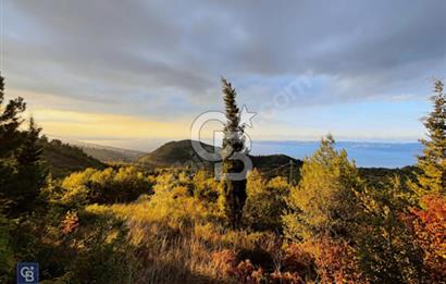 KOCAELİ KARAMÜRSELDE YOLA CEPHELİ DENİZ MANZARALI SATILIK ARAZİ