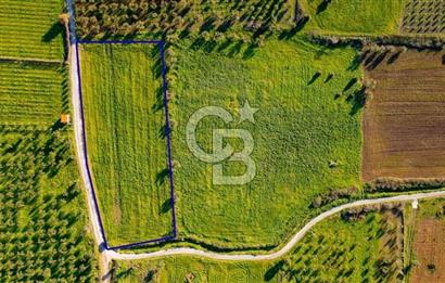 Foça Kocamehmetler'de Satılık Tarla