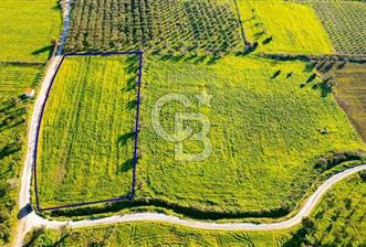 Foça Kocamehmetler'de Satılık Tarla - 7 - 331080