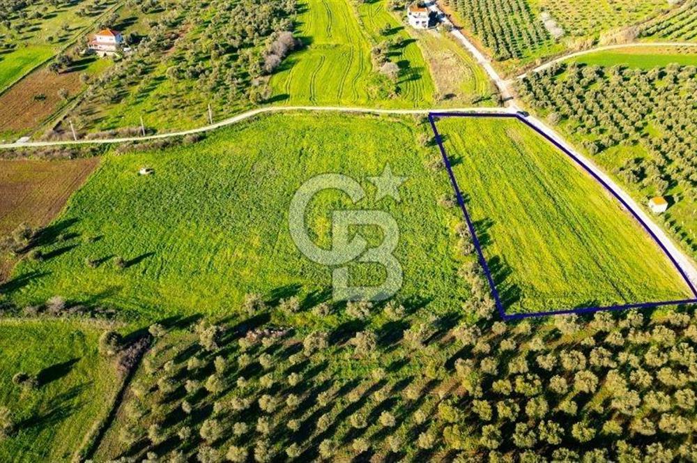 Foça Kocamehmetler'de Satılık Tarla