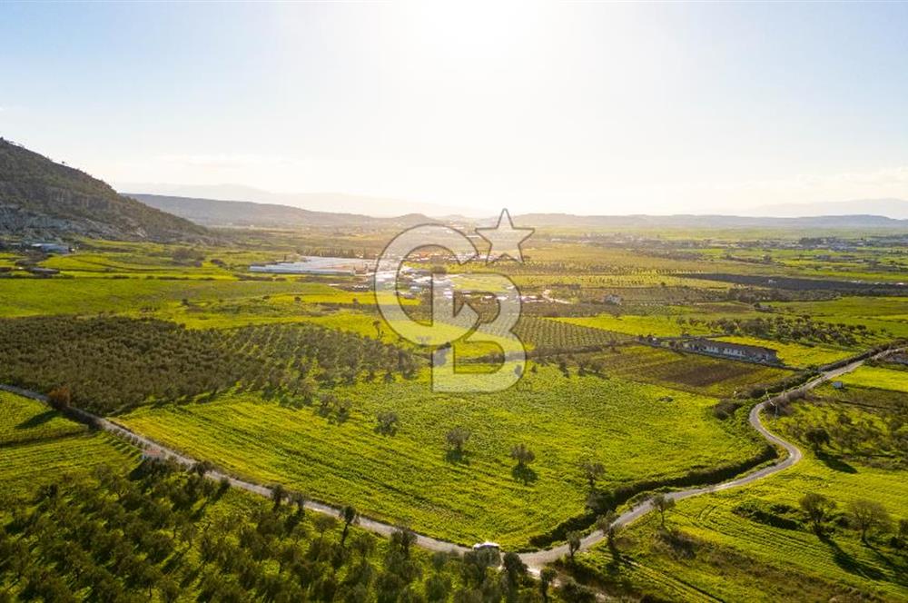 Foça Kocamehmetler'de Satılık Tarla